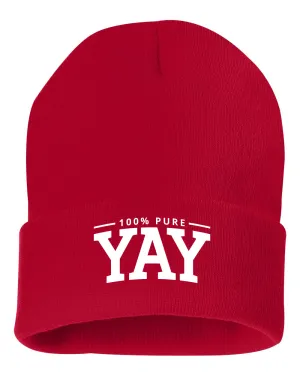Chinx 100% Pure Yay Block Beanie