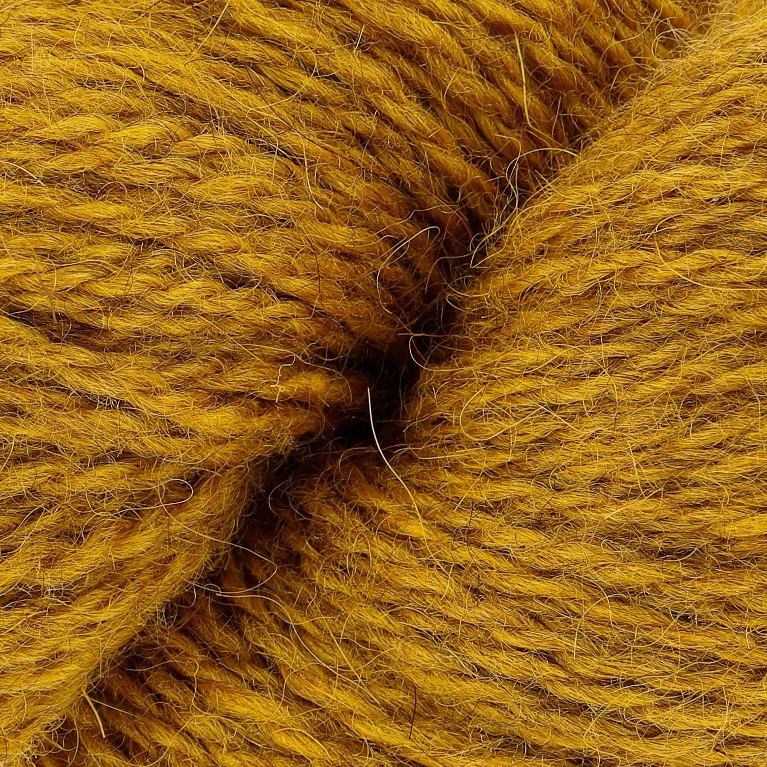 Fern Beanie - Knitting Kit