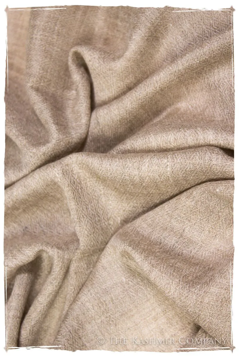 Taupe - Handloom Pashmina Cashmere Scarf