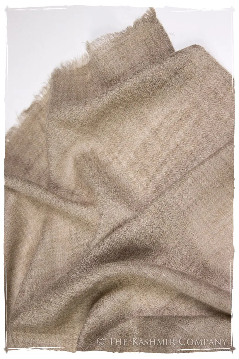 Taupe - Handloom Pashmina Cashmere Scarf